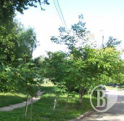 Дерева треба садити з розумом Дерева треба садити з розумом